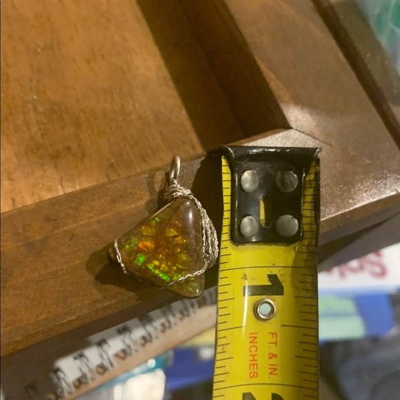 Ammonite Silver Pendant - Picture 4 of 4